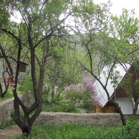 הוילה Guayacan  Refugio Coyoacan מראה חיצוני תמונה